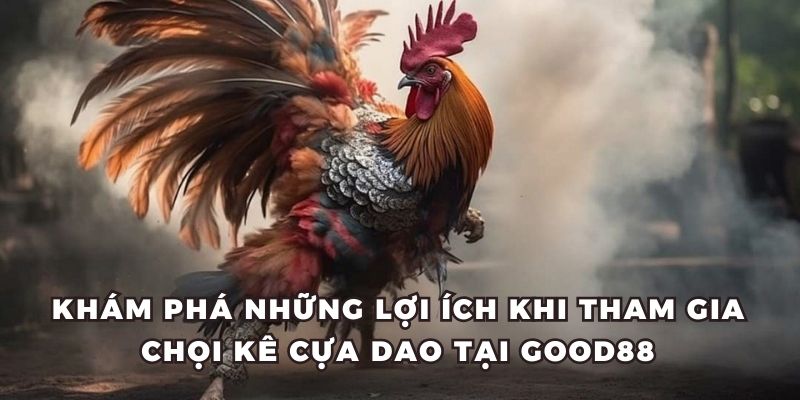 Khám phá những lợi ích khi tham gia chọi kê cựa dao tại Good88